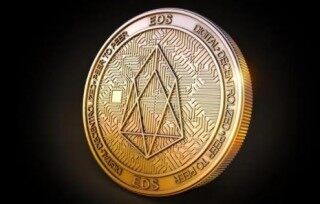 柚子币下载官方版本 柚子币官方新版下载