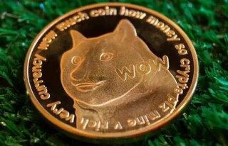 狗币doge官方app下载 狗狗dogcoin官网app新版下载地址