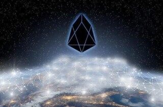 柚子币eos app手机端最新版下载 柚子币app手机客户端安卓