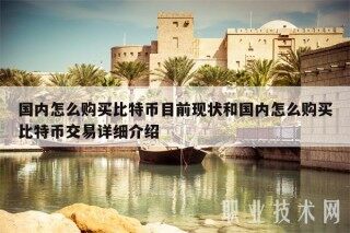国内怎么购买比特币目前现状和国内怎么购买比特币交易详细介绍