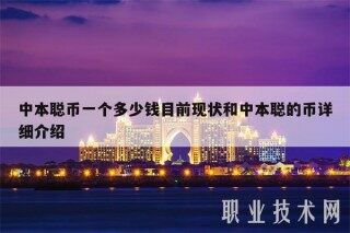 中本聪币一个多少钱目前现状和中本聪的币详细介绍