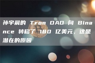 孙宇晨的 Tron DAO 向 Binance 转移了 180 亿美元，这是潜在的原因