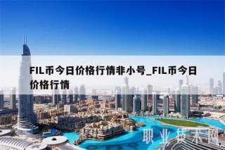 FIL币今日价格行情非小号_FIL币今日价格行情
