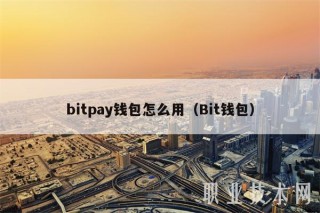bitpay钱包怎么用（Bit钱包）