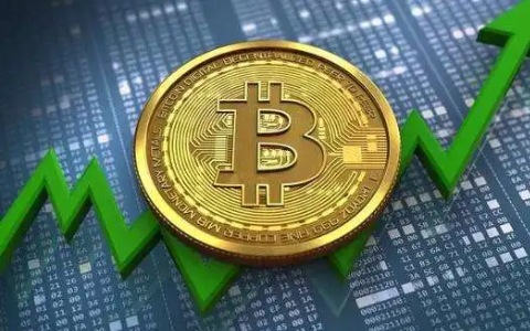 美元数字软件｜可用的前10名比特币交易软件排名盘点