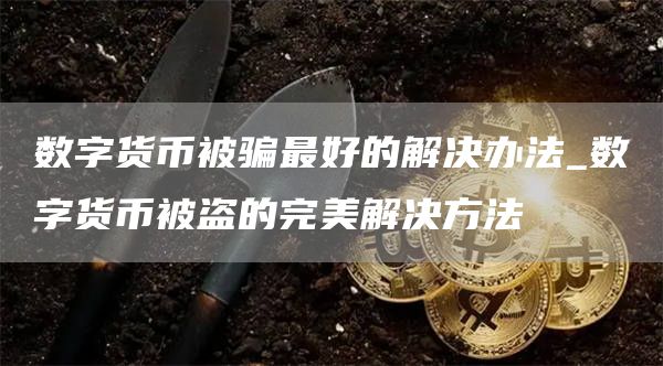数字货币被骗最好的解决办法_数字货币被盗的完美解决方法