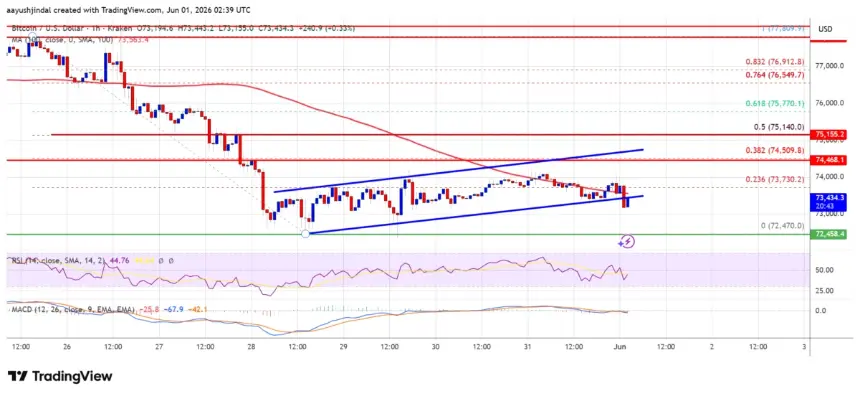 BTC/USD Hourly Price Chart