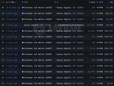 机构投资者对 HYPE 充满信心，在市场低迷时期撤资超过 4000 万美元